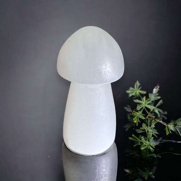 Selenite Crystal Mushroom Carving‎ - Picture 11 of 12